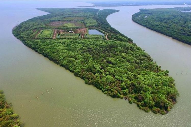 Pulau Lusi, Sidoarjo, Jawa Timur (infopublik.id). ©2017 Otonomi.co.id