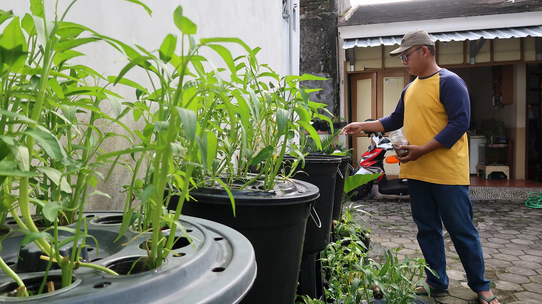 Budidaya Ikan Dalam Ember, Jurus Pemberdayaan Skala Rumah Tangga